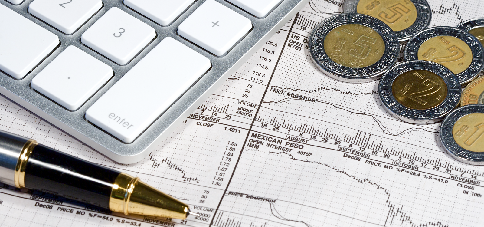 Foreign currency investment advisor